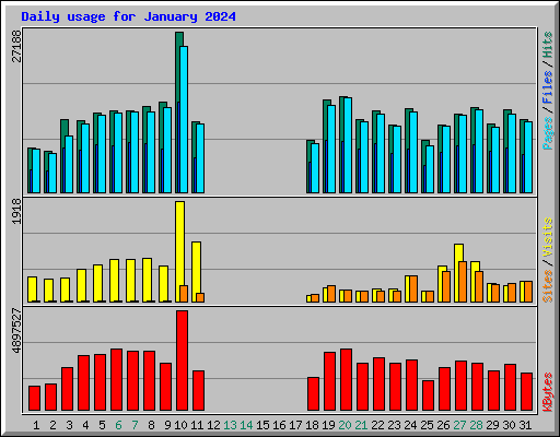 Daily usage for January 2024