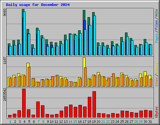 Daily usage for December 2024