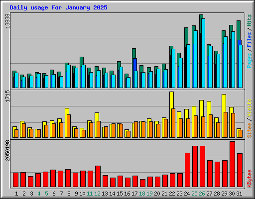 Daily usage for January 2025