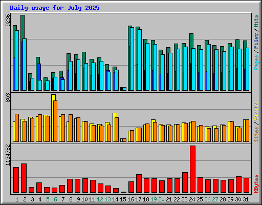 Daily usage for July 2025