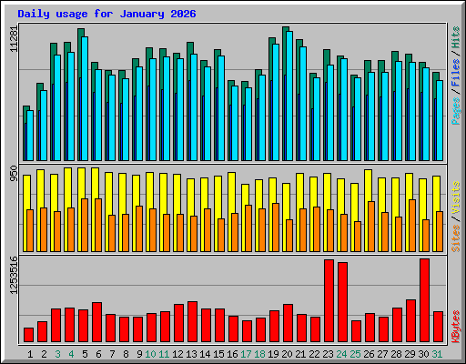 Daily usage for January 2026