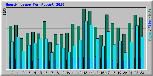 Hourly usage for August 2018