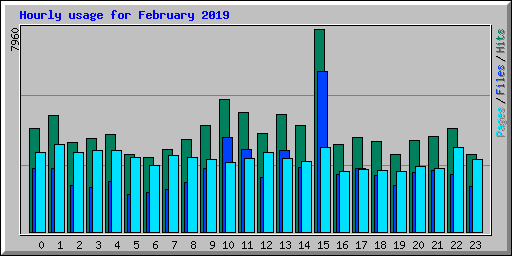 Hourly usage for February 2019