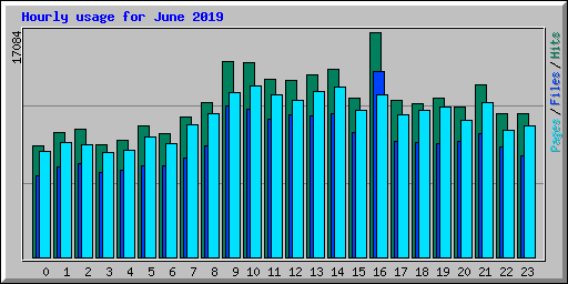 Hourly usage for June 2019
