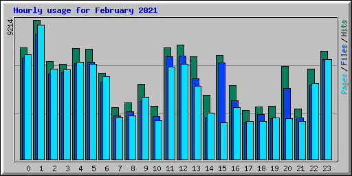 Hourly usage for February 2021
