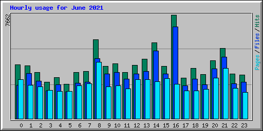 Hourly usage for June 2021