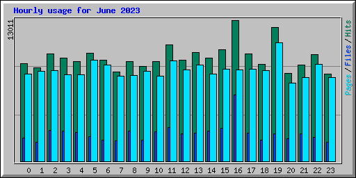 Hourly usage for June 2023