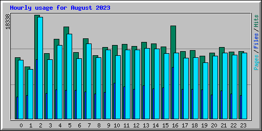 Hourly usage for August 2023