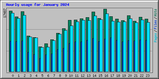 Hourly usage for January 2024