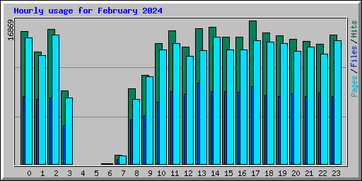 Hourly usage for February 2024
