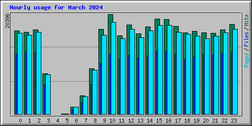 Hourly usage for March 2024
