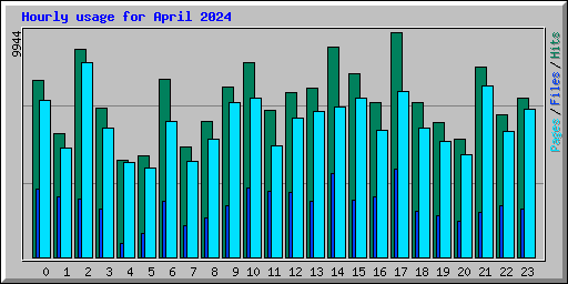 Hourly usage for April 2024
