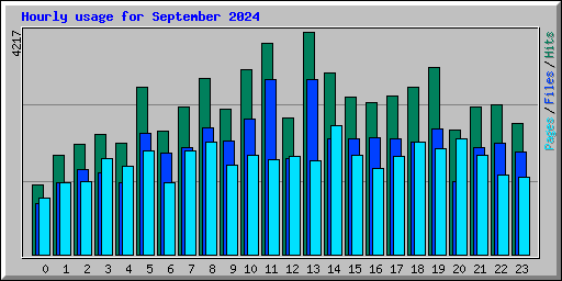 Hourly usage for September 2024