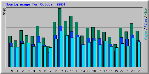 Hourly usage for October 2024