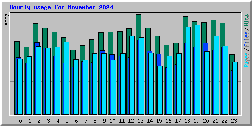 Hourly usage for November 2024