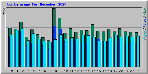 Hourly usage for December 2024