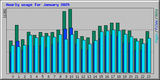Hourly usage for January 2025