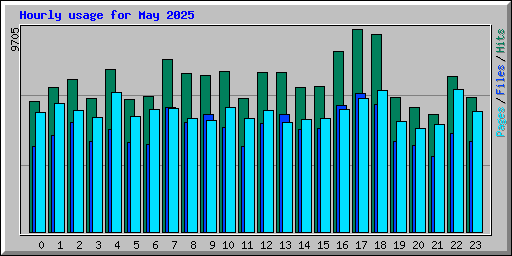 Hourly usage for May 2025