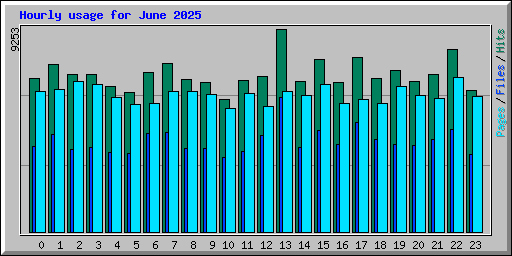 Hourly usage for June 2025