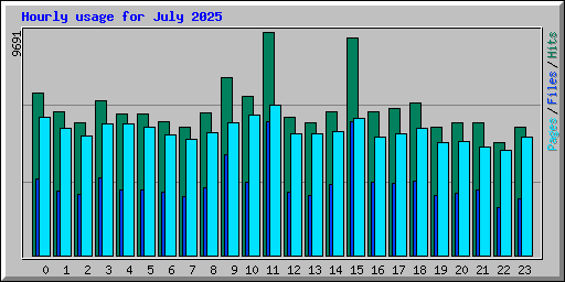Hourly usage for July 2025