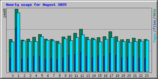 Hourly usage for August 2025