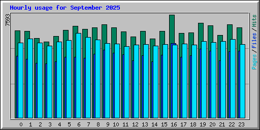 Hourly usage for September 2025