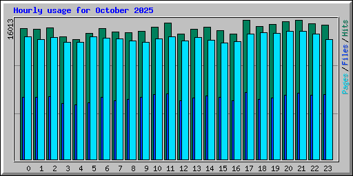 Hourly usage for October 2025