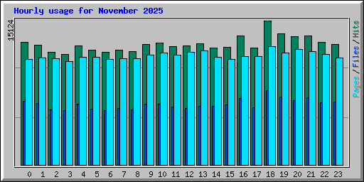 Hourly usage for November 2025