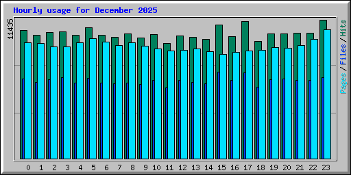 Hourly usage for December 2025