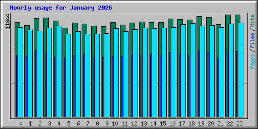 Hourly usage for January 2026