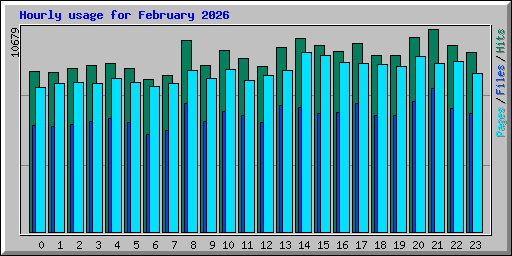 Hourly usage for February 2026