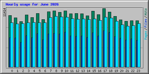 Hourly usage for June 2026
